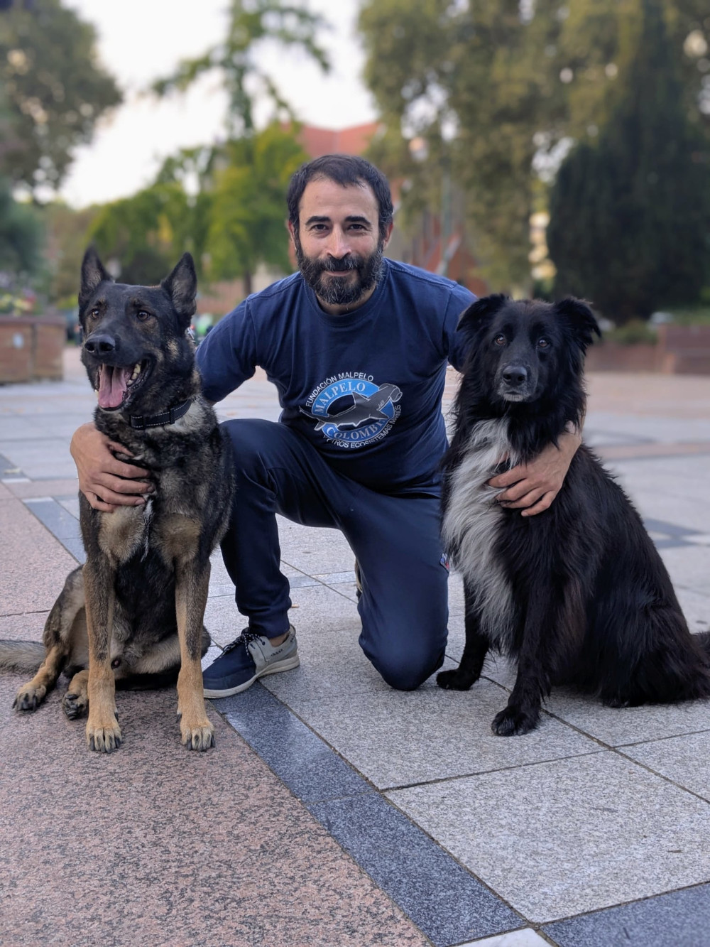 Les services de inodog éducateur canin Les services de inodog éducateur canin