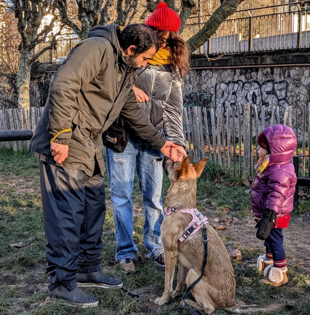 rééducation de chiens et de chiots